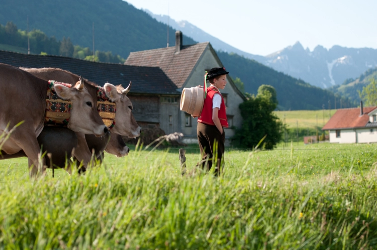Tourism Appenzell Innerrhoden & Appenzell Ausserrhoden - Hotel B&B Stossplatz